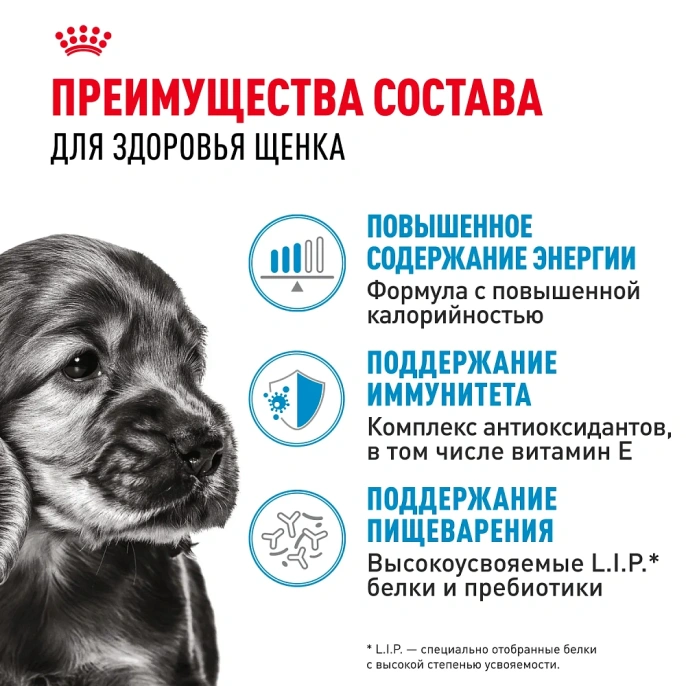 Royal Canin Mini Puppy (в соусе) для собак