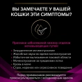 Purina UR ST/OX Urinary (Индейка) для кошек