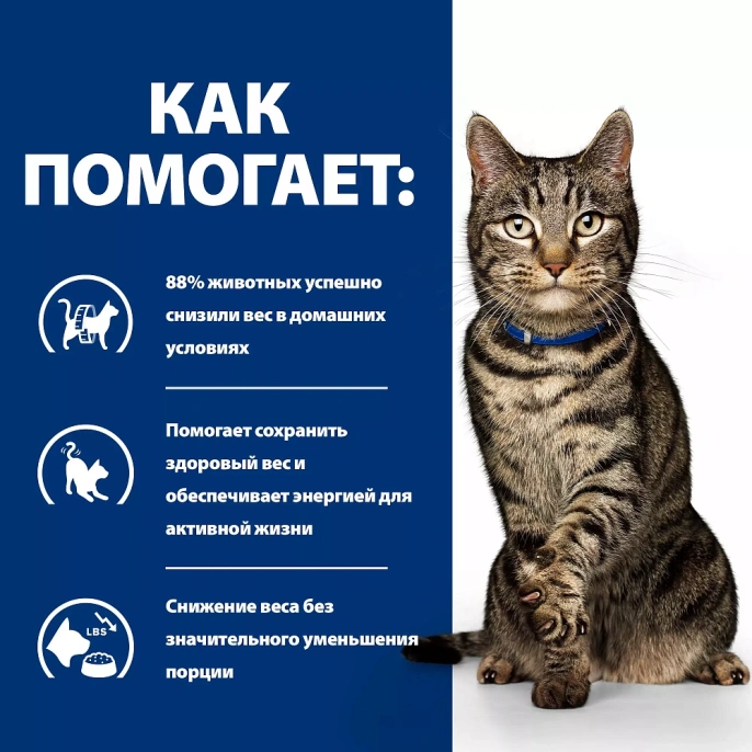 Hill's Prescription Diet Metabolic Влажный корм для кошек (Курица)