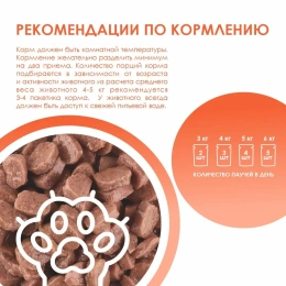 Kissa Пауч для кошек (Индейка в соусе)