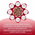 Kissa Пауч для кошек (Говядина в соусе)