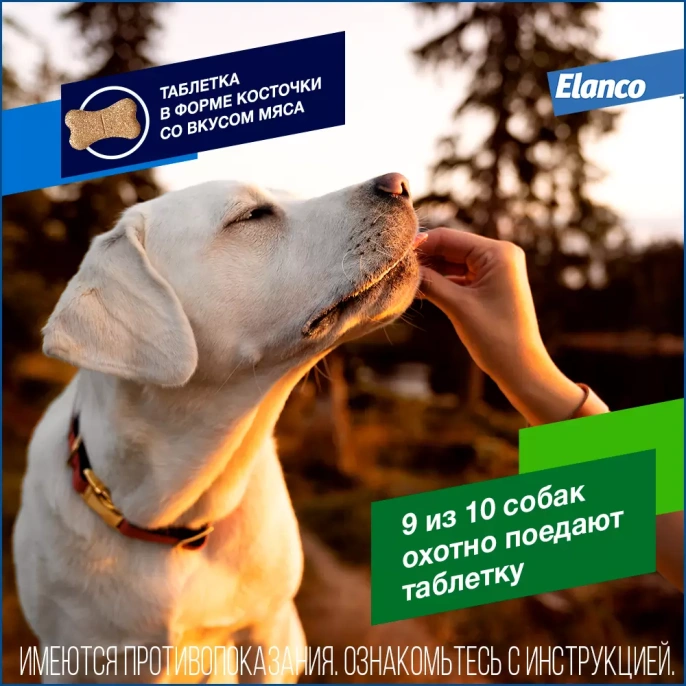 Elanco Дронтал Плюс XL для собак и щенков крупных пород для питомцев