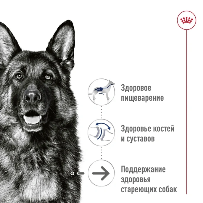 Royal Canin Ageing Maxi 8+ (в паштете) для собак