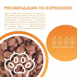 Kissa Пауч для кошек (Курица в соусе)