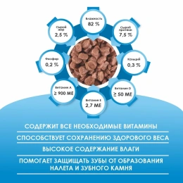 Kissa Пауч для кошек (Рыба в соусе)