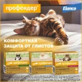Elanco Профендер для кошек от 2,5 до 5 кг для питомцев