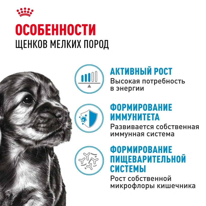 Royal Canin Mini Puppy (в соусе) для собак