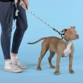 United Pets Ошейник Complete me Writing, голубой с рисунком для собак