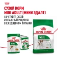 Royal Canin Mini Adult (в соусе) для собак