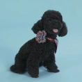United Pets Аксессуар для собак Complete me Роза