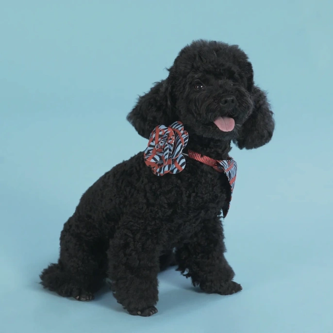 United Pets Аксессуар для собак Complete me Роза