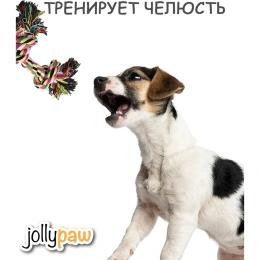 Jollypaw Игрушка в виде веревки с двумя узлами для собак