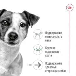 Royal Canin Mini Ageing (паштет) для собак