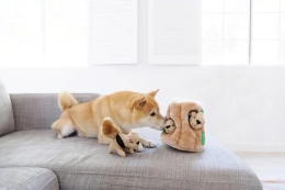 OutwardHound Игрушка-головоломка для собак Hide-A-Squirrel Спрячь белку