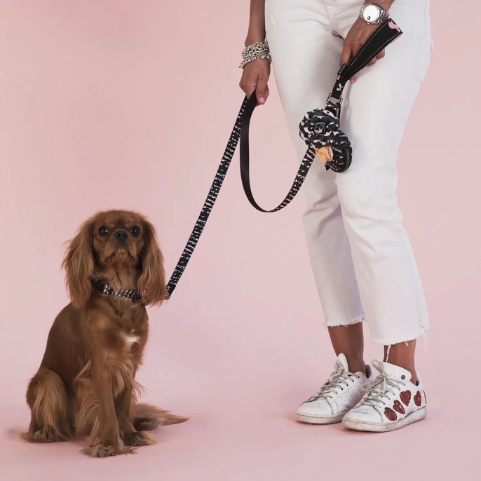 United Pets Аксессуар для собак Complete me Роза