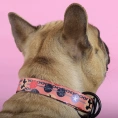 United Pets Ошейник Complete me Forever, оранжевый с рисунком для собак