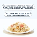 Wanpy Cat Консервы Курица с лососем для кошек