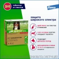 Elanco Дронтал Плюс XL для собак и щенков крупных пород для питомцев