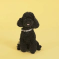 United Pets Ошейник Complete me, разноцветный рисунок для собак