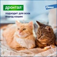 Elanco Дронтал для кошек для питомцев