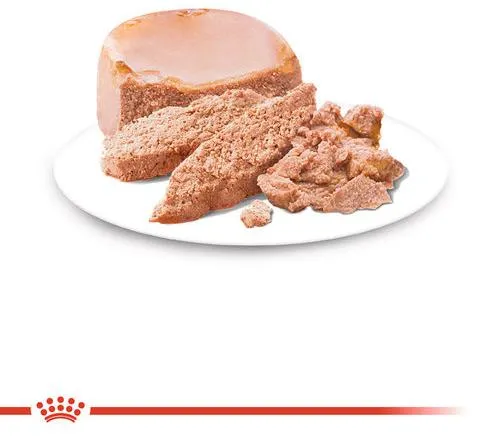 Royal Canin Starter Mother & Babydog (мусс) для собак