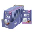 Brit Premium Пауч для котят (Кролик в желе)