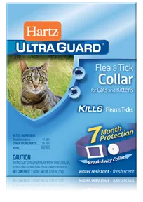 Hartz UltraGuard ошейник от блох и клещей, с застежкой, 27 см для кошек
