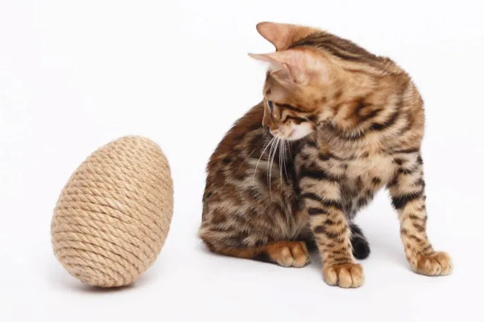 Petsiki Когтеточка динамическая яйцо, песочный для кошек
