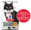 Корм Hill's Sience Plan для стерилизованных кошек старше 7 лет (курица), 300 г