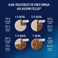 Felix Аппетитные кусочки для кошек (Лосось в желе)