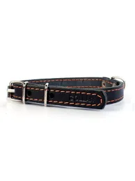 Collar одинарный составной Black для собак