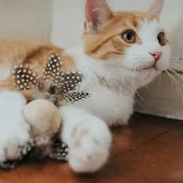 Hunter Игрушка для кошек Mala Ball