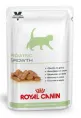 Royal Canin Pediatric Growth для кошек