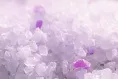 Наполнитель Elegant Cat (лаванда) для кошек