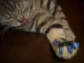 Антицарапки синие (40 шт) для кошек