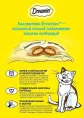 Dreamies Подушечки для кошек с лососем и сыром