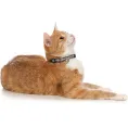 Hunter Ошейник для кошек Signs