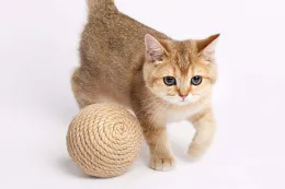 Petsiki Когтеточка динамическая клубок песочный для кошек