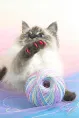 Cliny Мягкие коготки розовые для кошек