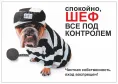 Информационная табличка, 216х154 см для собак