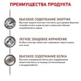 Royal Canin Recovery (мусс) для собак для кошек