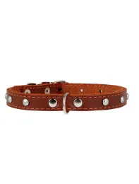 Collar одинарный с украшением Brown для собак