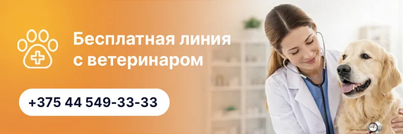 Бесплатная линия с ветеринаром