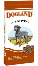 Dogland-Active