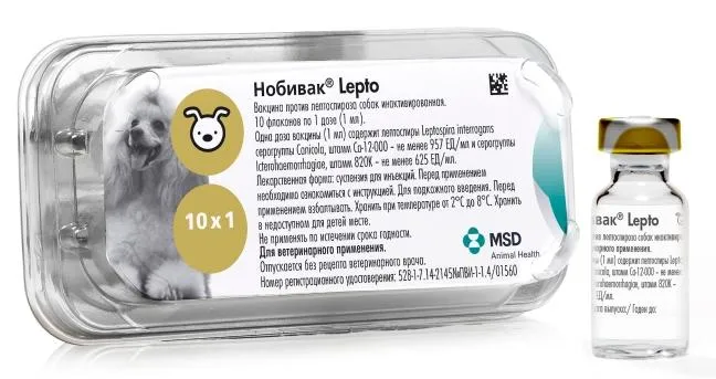 MSD Animal Health Нобивак Lepto для питомцев