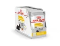 Royal Canin Dermacomfort Canine Adult (паштет) для собак