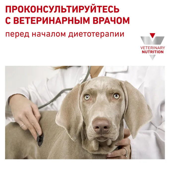 Royal Canin Recovery (мусс) для собак для кошек