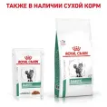 Royal Canin Diabetic (соус) для кошек