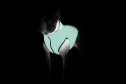Airy Vest Lumi Курточка двухсторонняя, оранжево-салатовая для собак