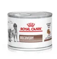 Royal Canin Recovery (мусс) для собак для кошек